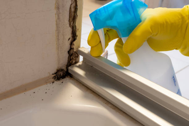 Best Emergency Mold Removal  in Shullsburg, WI